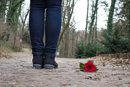 red rose on floor thumbnail