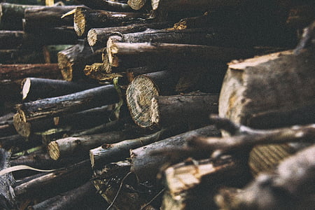 pile of firewood thumbnail