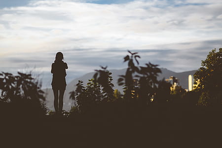 silhouette of person standing surrounded by plants in distant of mountain thumbnail
