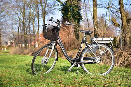 gray and black bike parked near trees thumbnail