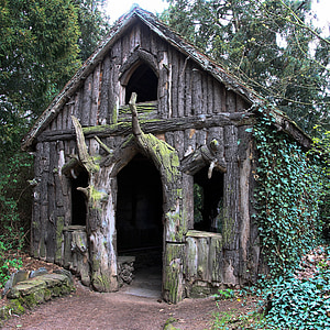 brown wooden house surrounded by leaves thumbnail