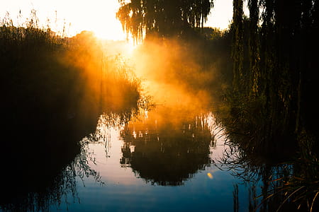 Silhouette Photography of Trees Near Water thumbnail