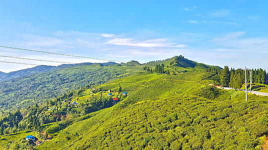 green leaf trees under blue and white cloudy sky during daytime thumbnail