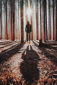 levitating person at woods thumbnail