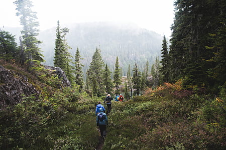 group of person walking on mountain during daytime thumbnail