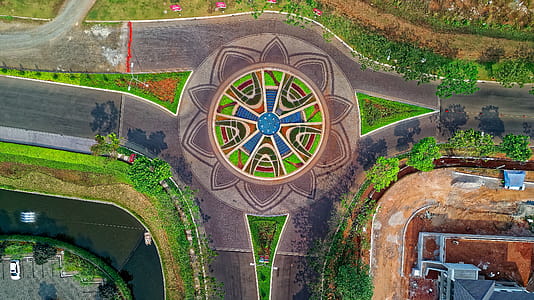 Aerial View Photography of Road and Plants thumbnail