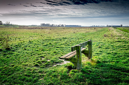 brown wooden bench in the middle of green grass lawn thumbnail