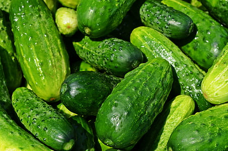 bunch of green cucumbers thumbnail