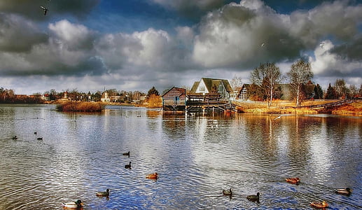 ducks swimming on body of water near village houses thumbnail