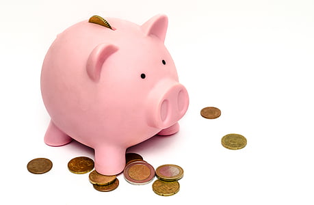 piggy bank with coins thumbnail