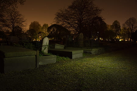 graveyard, graves, tree, spooky, night, tombstones thumbnail