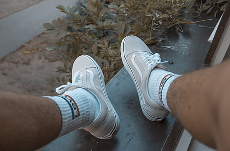 Person Wearing Gray Vans Oldskool thumbnail