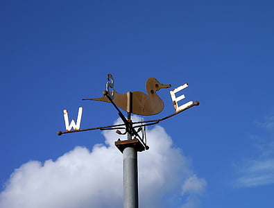 brown metal duck wind vain thumbnail