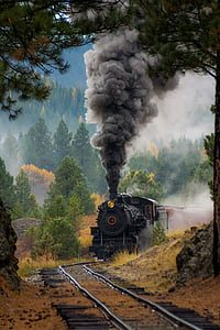 black train surrounded by trees thumbnail