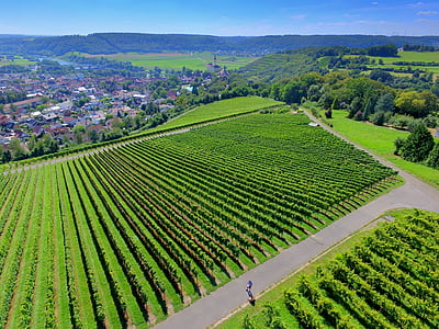 aerial view of orchard thumbnail