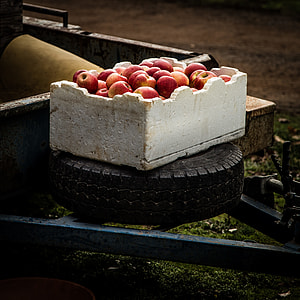 box of apples on vehicle tire thumbnail