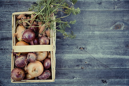 vegetables, harvest, fresh, basket thumbnail