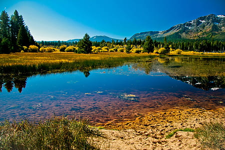 body of water near trees during daytime thumbnail