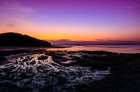 golden hour near the forest photography thumbnail