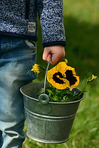 yellow flowers on gray steel bucket thumbnail