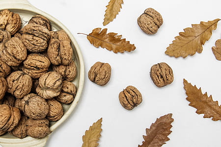 flat-lay photography of nuts and leaves thumbnail