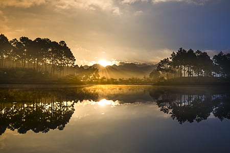 silhouette of trees near body of water during sunrise thumbnail