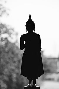 silhouette of Buddha statuette during daytime thumbnail