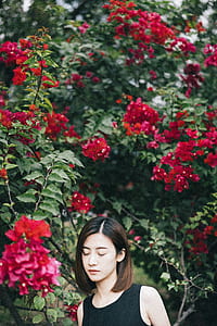 woman under tree with red flowers thumbnail