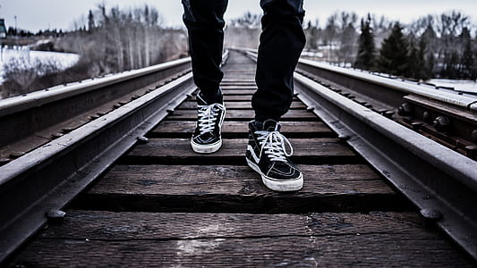 person wearing Vans low-top sneakers thumbnail