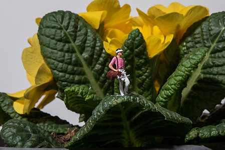 person standing on green leafed plant thumbnail