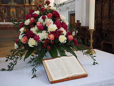 white and red flowers beside book thumbnail