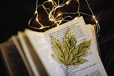 Making Magic with Fairy Lights thumbnail