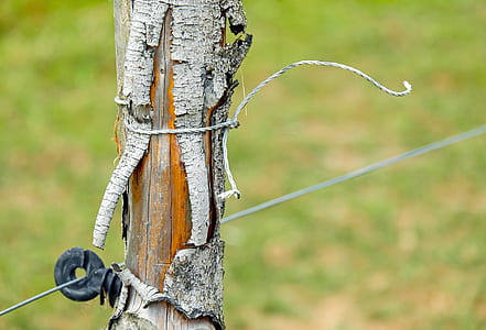 close-up photo of rope tied on wood thumbnail