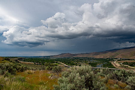 Green Foliage Treed Near Mountain Range With Cloudy Skies thumbnail