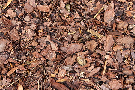 brown planks thumbnail