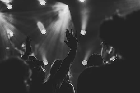 grayscale photography of people at the concert thumbnail