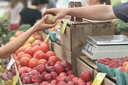 person holding round green fruit beside white digital scale with lot ot assorted fruits thumbnail