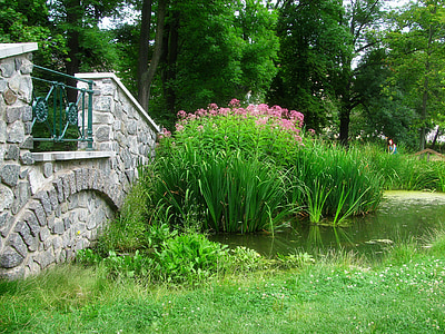 green grass beside concrete mini bridge thumbnail