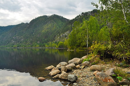 calm body of water facing mountains and trees during daytime thumbnail