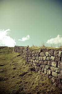 brown concrete wall on grass field thumbnail