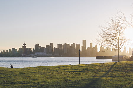 wide angle photography of high rise buildings thumbnail