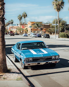 classic blue coupe near brown tree on road thumbnail