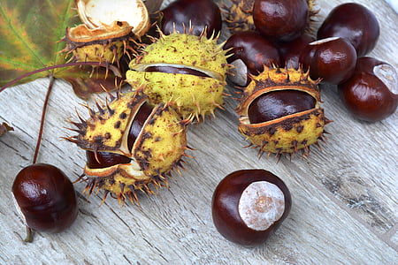 red and yellow fruits on gray table thumbnail