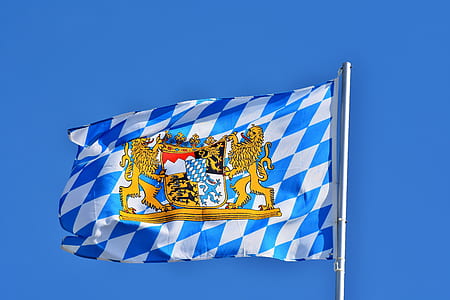 blue and white checkered flag with lions and shield insignia waving with the wind thumbnail