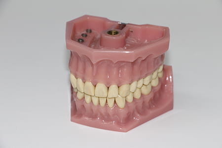 dentures on white surface thumbnail