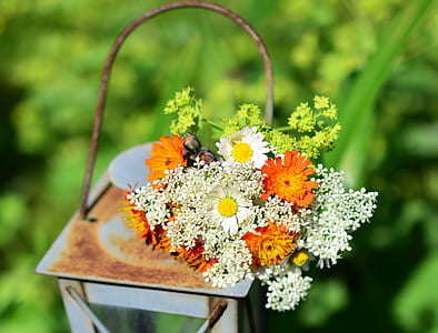 white, yellow, and orange flowers on white metal lantern closeup photography thumbnail