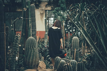 Low Light Photography of Woman in Black Dress Standing on Field Surrounded by Cactus Plants thumbnail