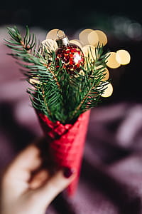 Burgundy Christmas Decorations thumbnail