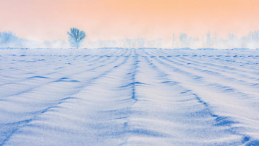 soil pavement digital cover thumbnail