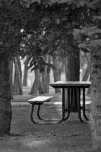 Black Metal Wood-top Bench thumbnail